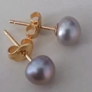 14K Gold Grey Natural South Sea Pearl Stud Earrings